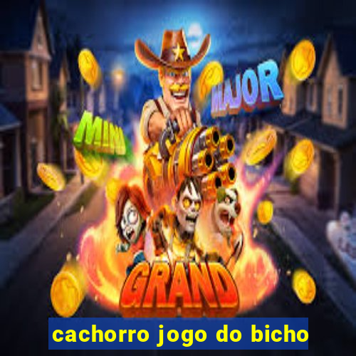 cachorro jogo do bicho